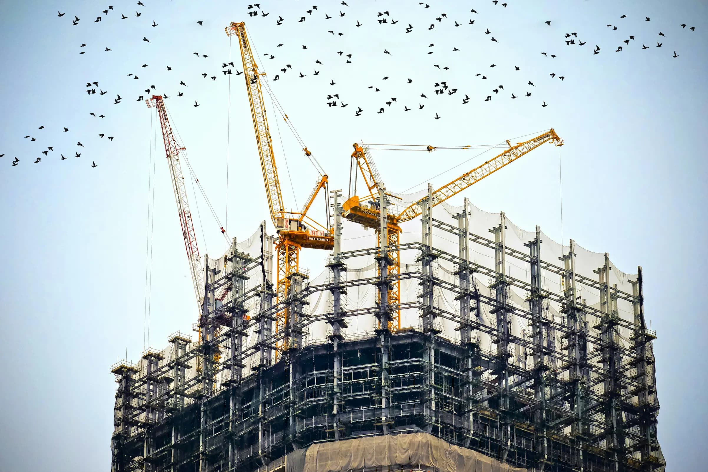 Flachwinkelfotografie von Kranen auf dem Dach eines Gebäudes